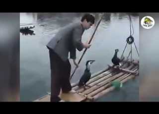 شاهد رائع و عجيب صيد السمك في الصين