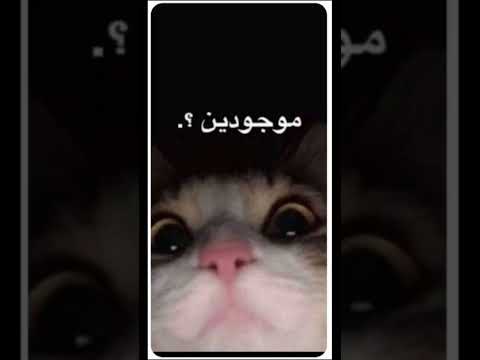 صور تضحك تبيها خذوها بس بلايك و الاشتراك