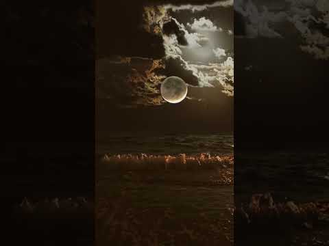 فالليل نبات نخمم Chebhasni Chebkhaled Aghani Chebbilal Rai الجزائر المغرب Agadir Cheb فالليل نبات نخمم Chebhasni Chebkhaled Aghani Chebbilal Rai الجزائر المغرب Agadir Cheb