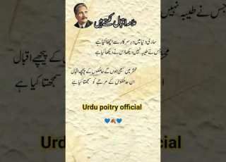 ساری دنیا میں در سرکار سے اچھا کیا ہے Poetry Heartfeltshayari Urdupoetry Islamicart