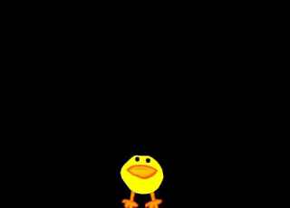 13 March 2026