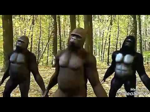 مزمار خلصانه بضربة خرزانه عبسلام و حمو شياكه توزيع السيد ابو جبل مزمار خلصانه بضربة خرزانه عبسلام و حمو شياكه توزيع السيد ابو جبل