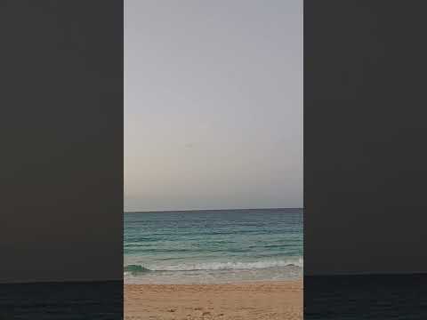 شيرين عبد الوهاب عودتني الدنيا أخسر