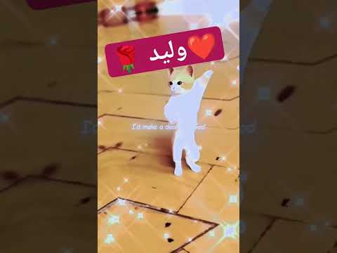 وليد طلب خاص وليد Foryou Waled Shorts Sh Short ترند Cat وليد طلب خاص وليد Foryou Waled Shorts Sh Short ترند Cat