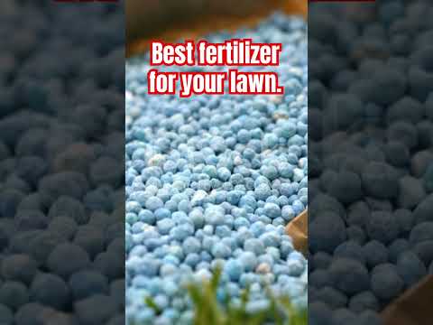 Top Fertilizers For Lawns Lawncare Lawncaretips Lawn