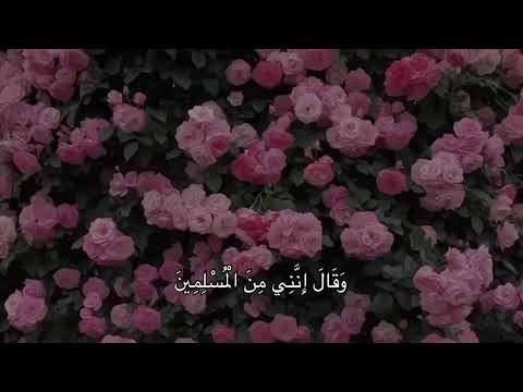 وأبشروا بالجنة التي كنتم توعدون الشيخ ماهر المعيقلي القرآن الكريم لا اله الا الله سبحان الله