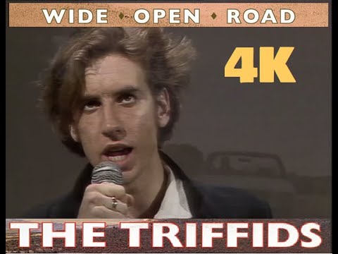 The Triffids Wide Open Road Original Video 1986 4K Remaster