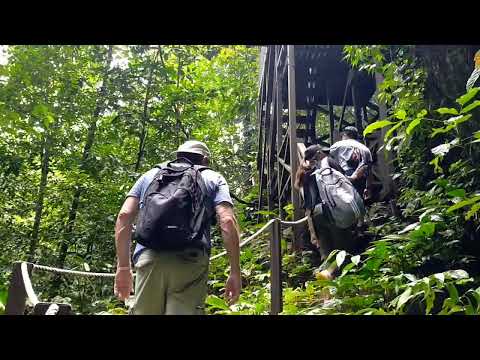 The Mulu Canopy Skywalk Tour Mulu National Park