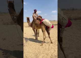  فتاة تعلق على ظهر جمل وتحاول رفعه وإطلاق سراحه