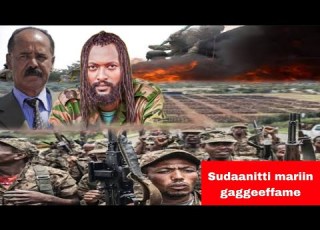  Oduu Ammee WBO Dabalatee Sudaanitti Mariii Lola Abbummaa ABO