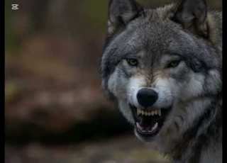 Garik Garik Не получиться пройти мимо бога