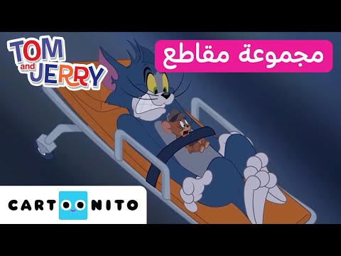 توم وجيري مجموعة من المقاطع للمحقق ين توم وجيري كارتونيتو توم وجيري مجموعة من المقاطع للمحقق ين توم وجيري كارتونيتو