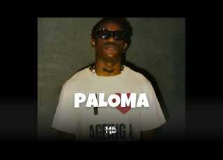  PALOMA Asake X Victony Type Beat Afrobeat Instrumental 2026