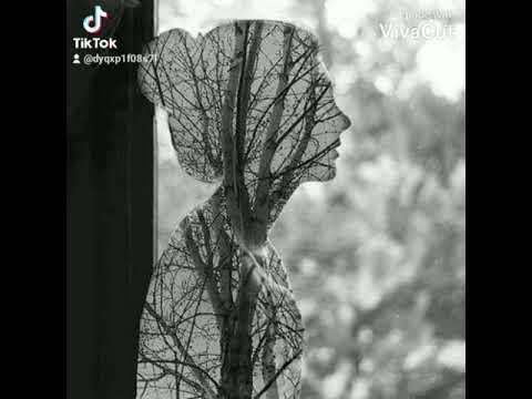 يا دنيا دوبت انا فيكي