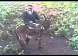  TAJIK COWBOY