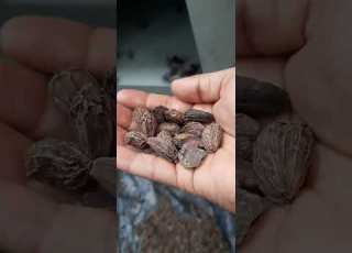 Black Cardamom Grading Machine