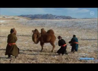  Teleputeshestviya HD Broadcast Fragment