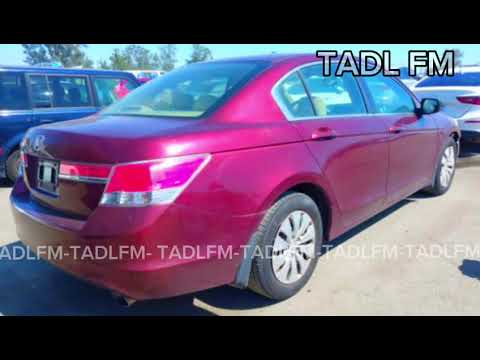 ترند التيك توك اتنين ملهمش امان الفرامل والنسوان مطلوب آكتر شيء