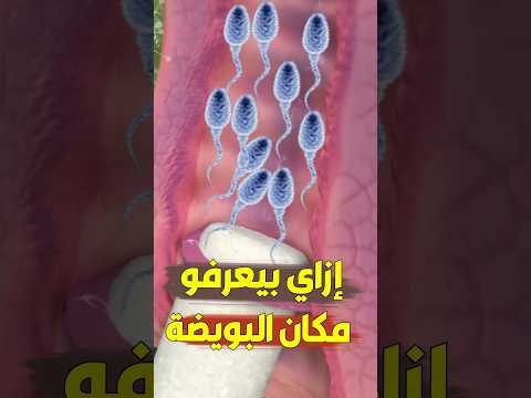 إزاي الحيوانات المنوية بتعرف مكان البويضة اكسبلور قصص ترند قصص واقعية تيك توك Pregnant