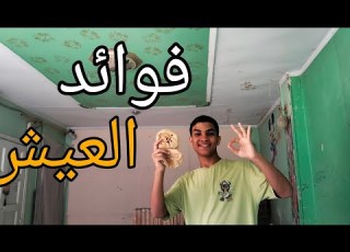 فوائد العيش للحمام وطريقة استخدامه وأضرارها