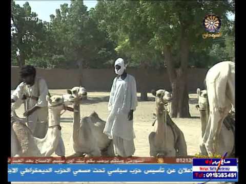 المسلسل السودانى دكين الحلقة 13 والأخيرة
