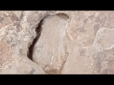 اشارة الجرةايحاء فكري والقراءه للمحترف الاستاذ أبو الجرار