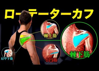  Muscle Training A Video That Leaves Everything About The Rotator Cuff