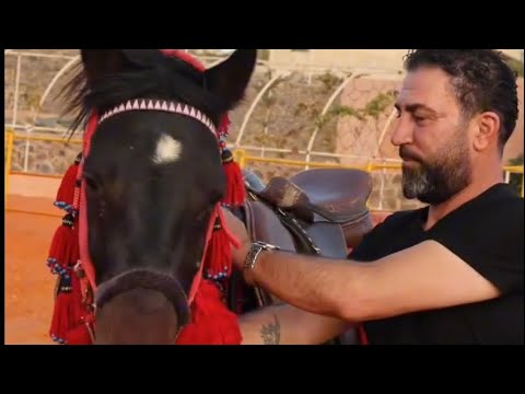 اغنية الجبل بركان والطوفان جارف اغنية جديدة مفيد طحطح والفنان قتيبة طحطح الدروز السويداء اغنية الجبل بركان والطوفان جارف اغنية جديدة مفيد طحطح والفنان قتيبة طحطح الدروز السويداء