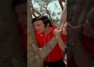 النساء الساحرات من خوليو اجليسياس وسمير صبرى