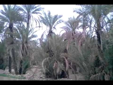 وادي عمــد تبغى الصراحه تراني فيك متحير