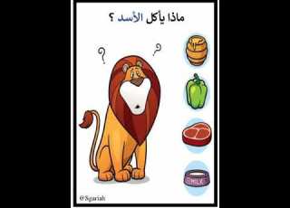 ماذا تاكل الحيوانات