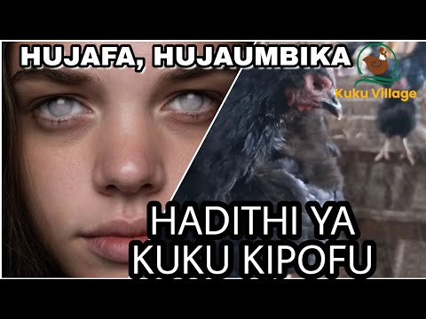 HUJAFA HUJAUMBIKA HADITHI YA KUKU KIPOFU
