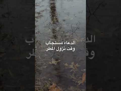 الدعاء مستجاب عند نزول المطر