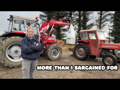 MY 200TH VIDEO FIRST FERTILISER OF 2026 OUT