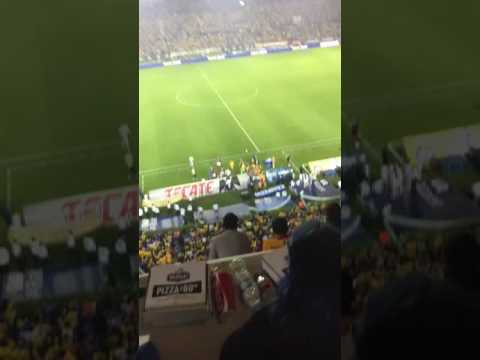 Pelea De La Palmera Rivas Y Ventura Alvarado