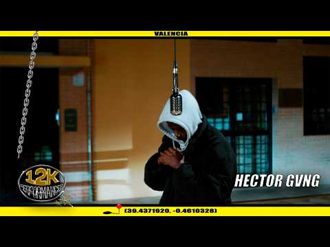 Hector Gvng CLOVER II 12Quality Performance