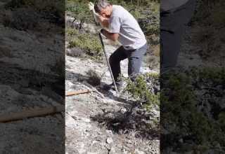 How To Collect A Yamadori From The Mine Bar Yamadori