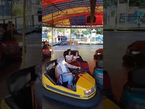 كنصطني شوكولاتة Shorts