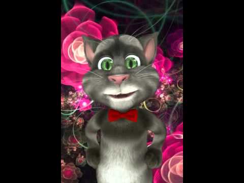 كل عام و انتو بخير عساكم من عواده