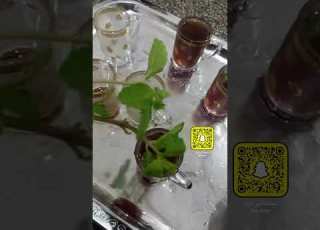 نعناع ومي صاخن