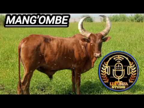 MDENDELA LUFUNZA UJUMBE WA LUSHINGA MAPULI 2026 BY MSAMBAZAJI LUFUNZA MANYANDA