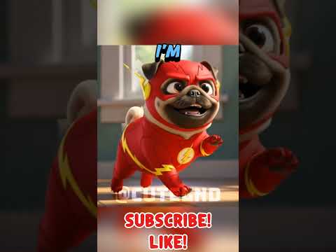 Choose Everything For Your Party Pug Cute Kitten