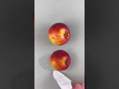 طريقة رسم التفاح بإحترافية بالألوان الخشبية How To Draw Apples Professionally With Wood Colors طريقة رسم التفاح بإحترافية بالألوان الخشبية How To Draw Apples Professionally With Wood Colors