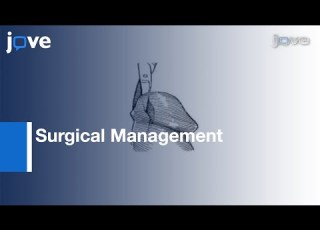 Surgical Management Meatal Stenosis With Meatoplasty L Protocol Preview