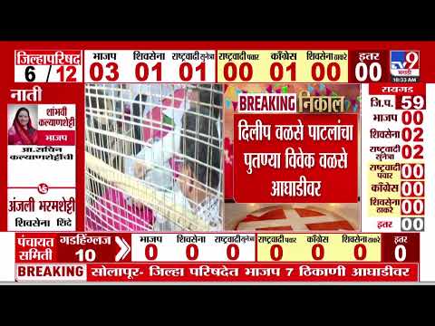 Maharashtra Election Results 2026 Sangli व ळव त ल क य त ल य ल र गट त न हर षद मह ड क आघ ड वर Maharashtra Election Results 2026 Sangli व ळव त ल क य त ल य ल र गट त न हर षद मह ड क आघ ड वर