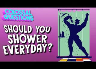  Should You Shower Every Day COLOSSAL QUESTIONS