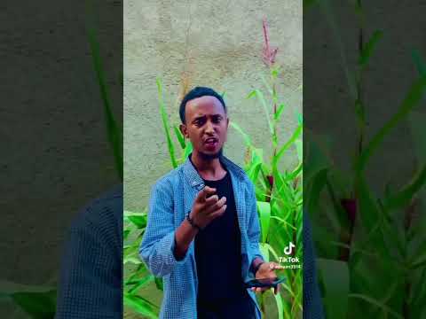 ERGAMAA RABBII S A W Best Nashiid