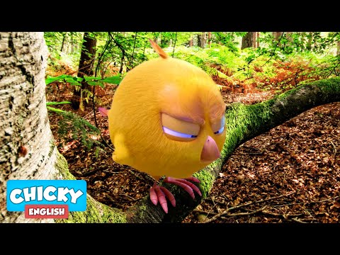 Where S Chicky Funny Chicky 2020 CHICKY IN THE FOREST Chicky Cartoon In English For Kids