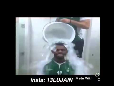 اغنية ضفدع ضفدع نق نق