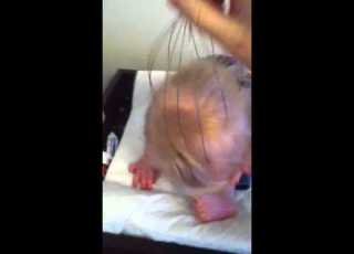  Connor S Ticklish Scalp